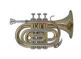 Bach PT650 Taschentrompete