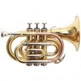 Roy Benson MOD.PT 302 Taschentrompete